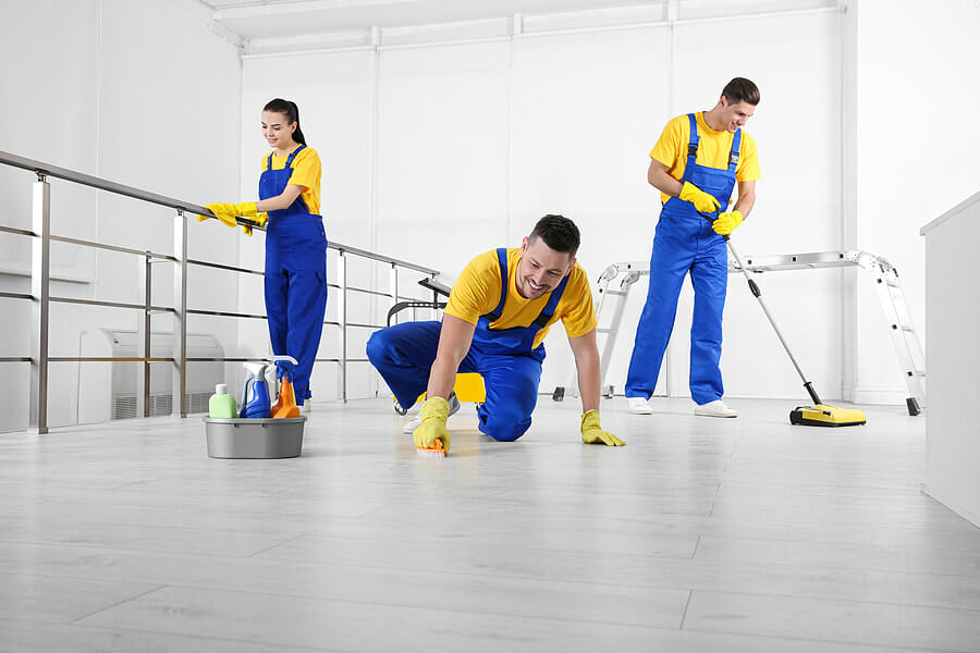 Meticulosity Cleaning Services